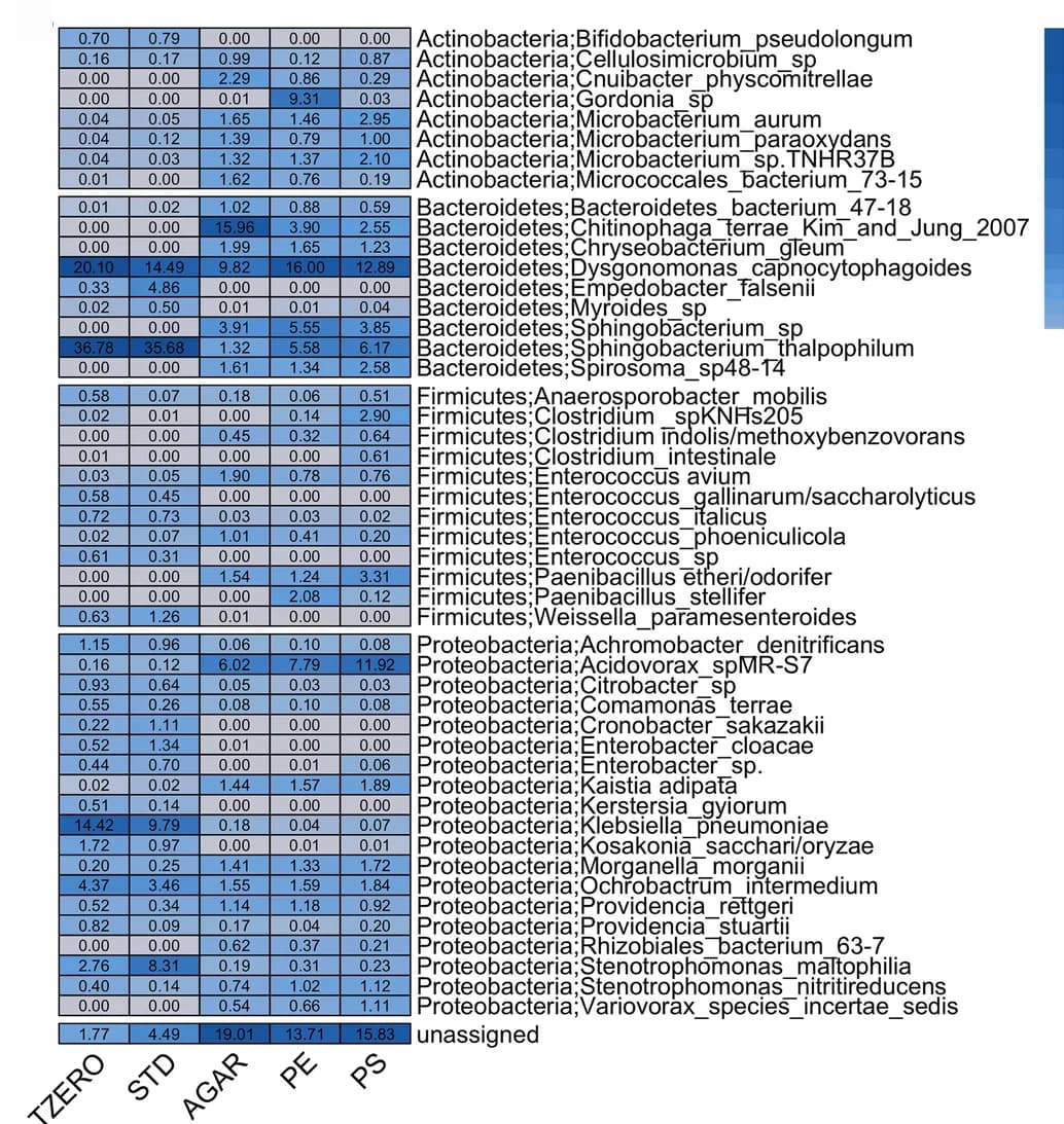 Open access visualization of Heatmap, Shotgun Metagenomes Taxonomic Profiling, Microbiome Composition, T Zero, STD