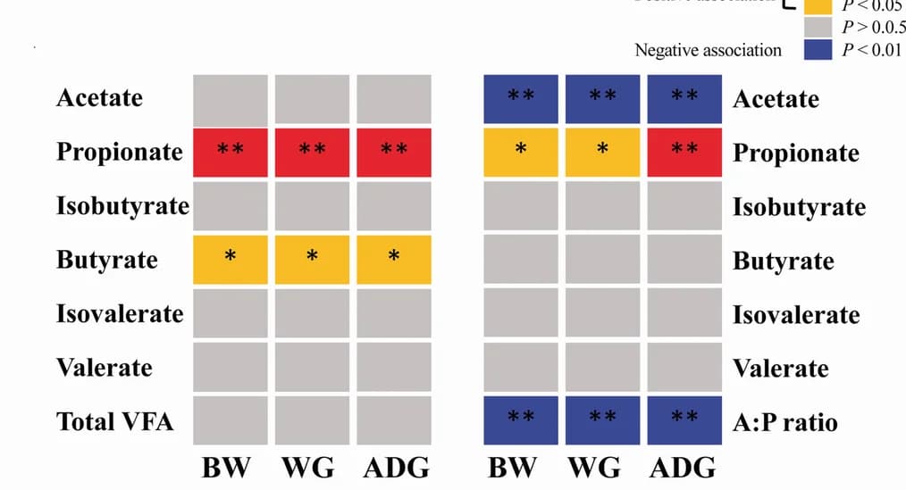 Open access visualization of Heatmap, VFAs, Growth Performance, Rumen