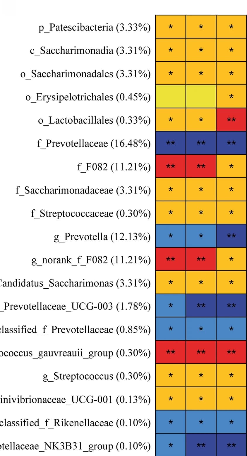 Open access visualization of Heatmap, Bacterial taxa, Growth performance traits, Spearman's correlation, Body weight