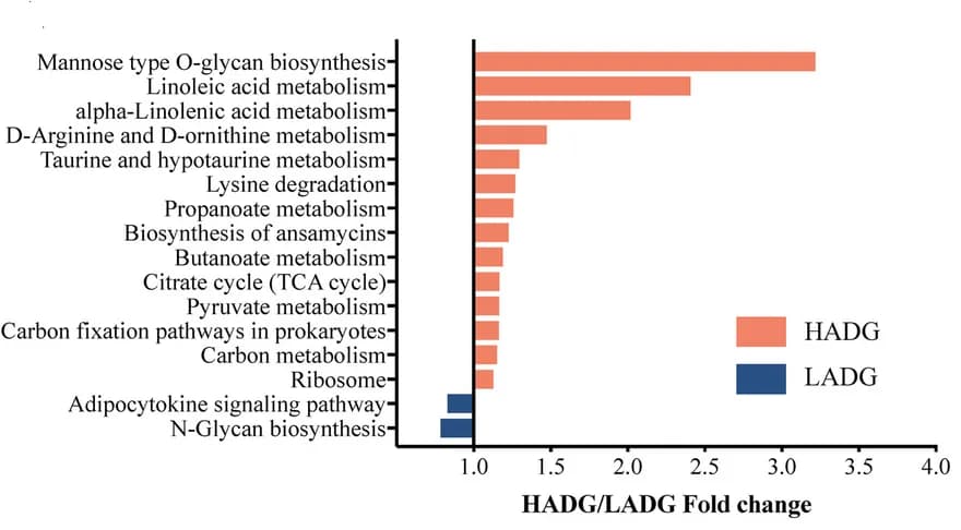 Open access visualization of Bar Plot, KEGG Microbial Pathways, HADG Goats, LADG Goats