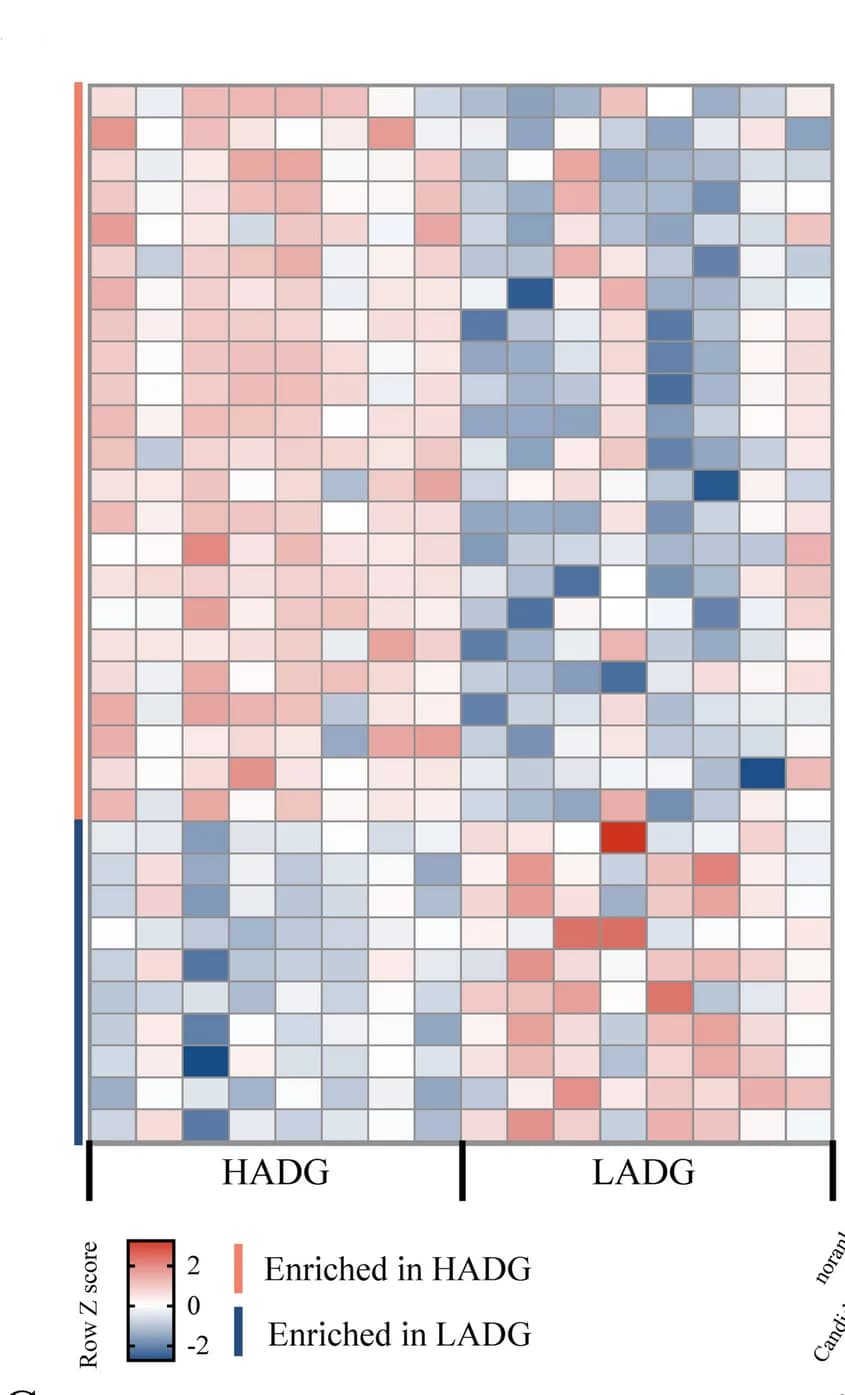 Open access visualization of Heatmap, Ruminal Metabolites, Average Daily Gain, Goats