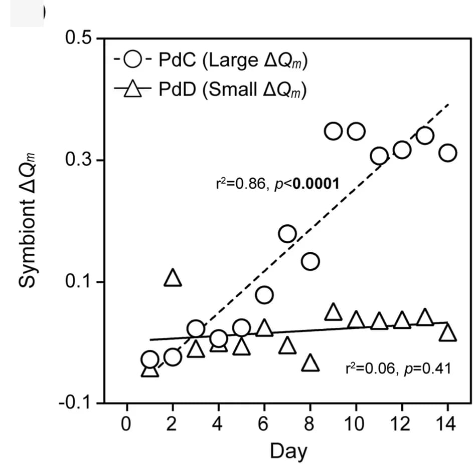 Open access visualization of Scatter Plot, Regression Plot, Photosynthetic efficiency, Thermal stress, P. damicornis
