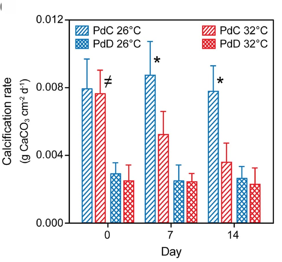 Open access visualization of Bar Plot, Error Bars, Clustered, Calcification Rates, Skeletal Mass
