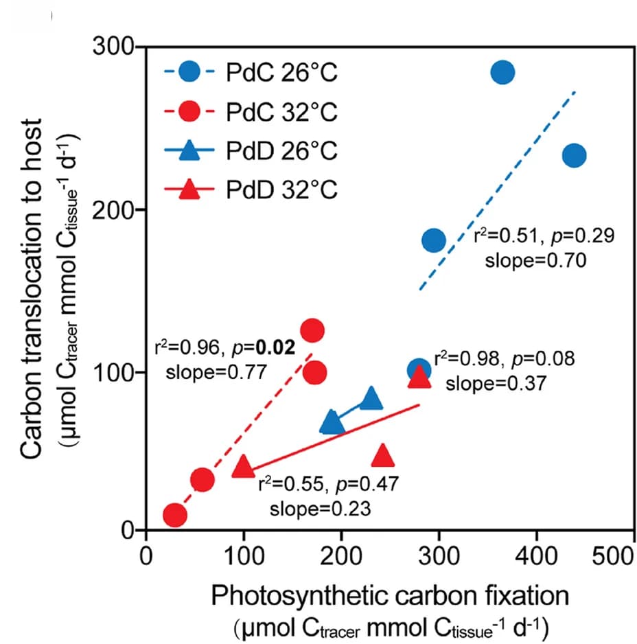 Open access visualization of Scatter Plot, Regression Plot, Carbon Translocation, Symbionts, Host