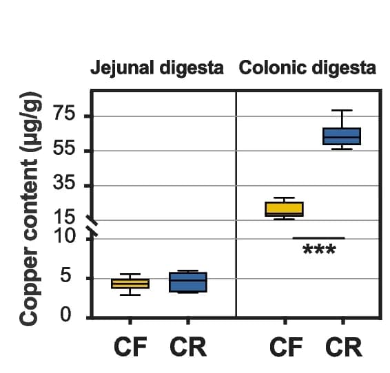 Open access visualization of Box Plot, Copper Content, Jejunal Digesta, Colonic Digesta