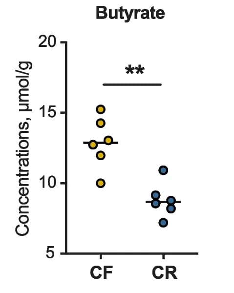 Open access visualization of Scatter Plot, Colonic Butyrate