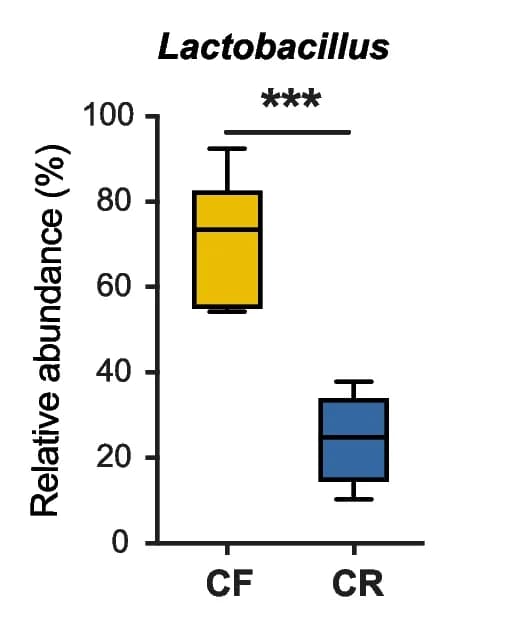 Open access visualization of Box Plot, Lactobacillus, Colon, Relative Abundance