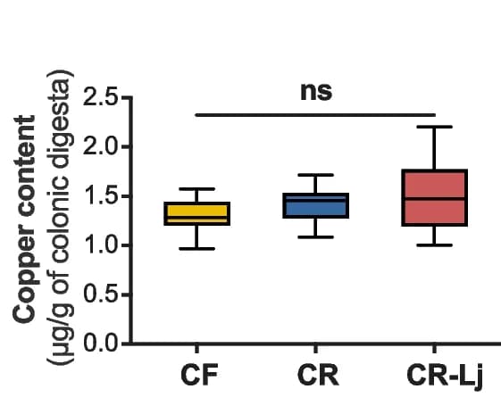 Open access visualization of Box Plot, Copper, Colonic Digesta