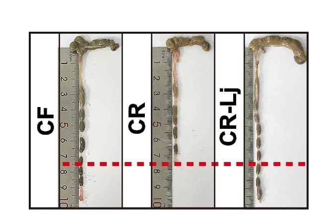 Open access visualization of Photo, Colon, Macroscopic Images