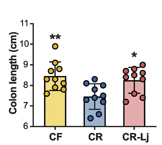 Open access visualization of Bar Plot, Error Bars, Scatter Plot, Colon Length