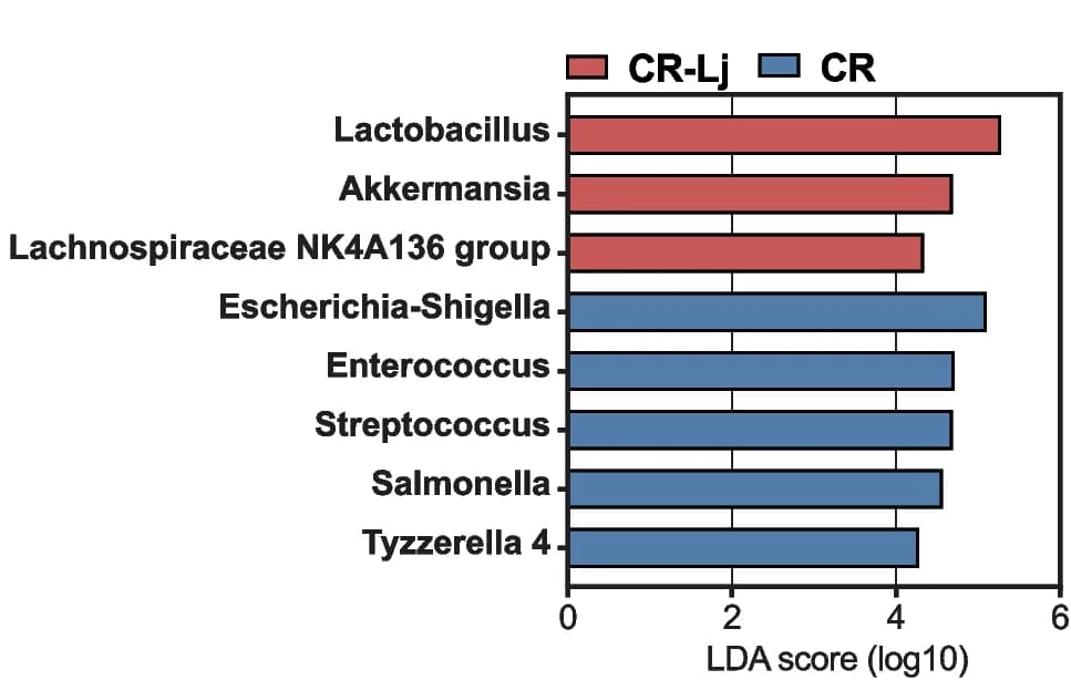 Open access visualization of Bar Plot, Differential Taxa, LEfSe Analysis, Genus Level, CR Group