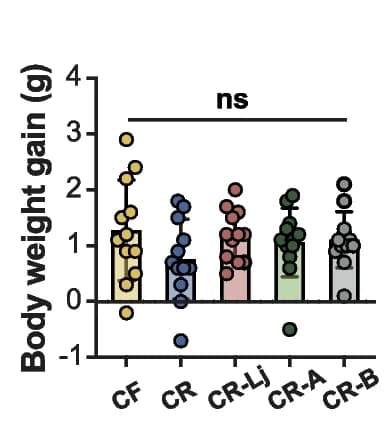 Open access visualization of Bar Plot, Scatter Plot, Body Weight, Mice