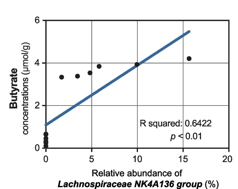 Open access visualization of Scatter Plot, Regression Plot, Butyrate Concentration, Relative Abundance, Lachnospiraceae NK4A136 Group