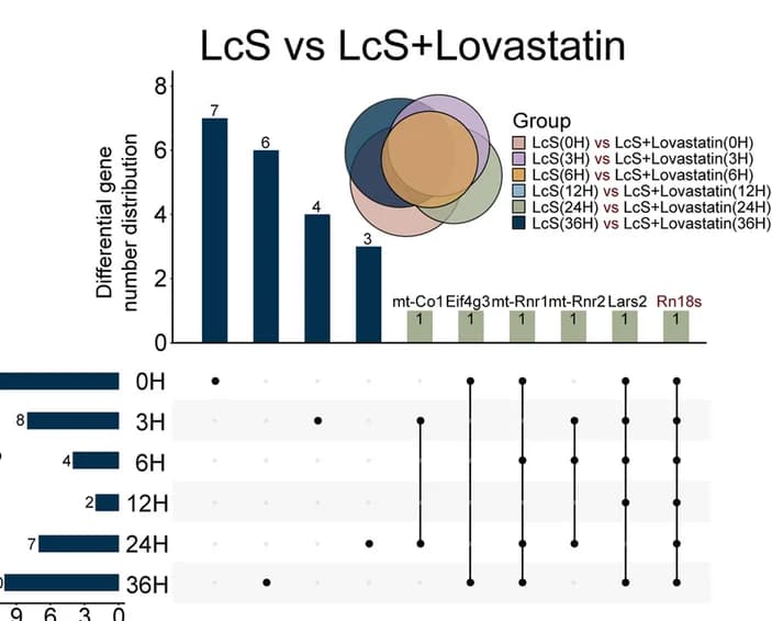 Open access visualization of Bar Plot, Venn Diagram, Lacticaseibacillus Paracasei, Lovastatin, Transcriptome