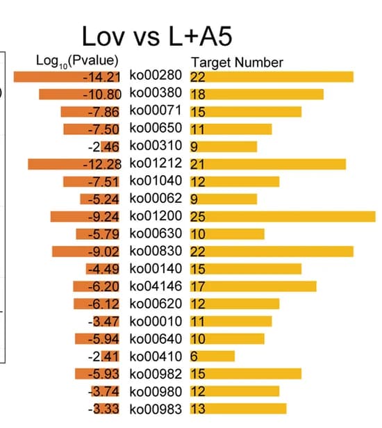 Open access visualization of Bar Plot, Metascape Analysis, KEGG Pathway, Upregulated Genes, Downregulated Genes