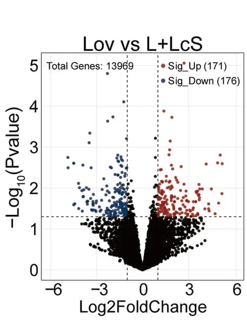 Open access visualization of Volcano Plot, Gene Comparison, Lov Group, L + LcS Group