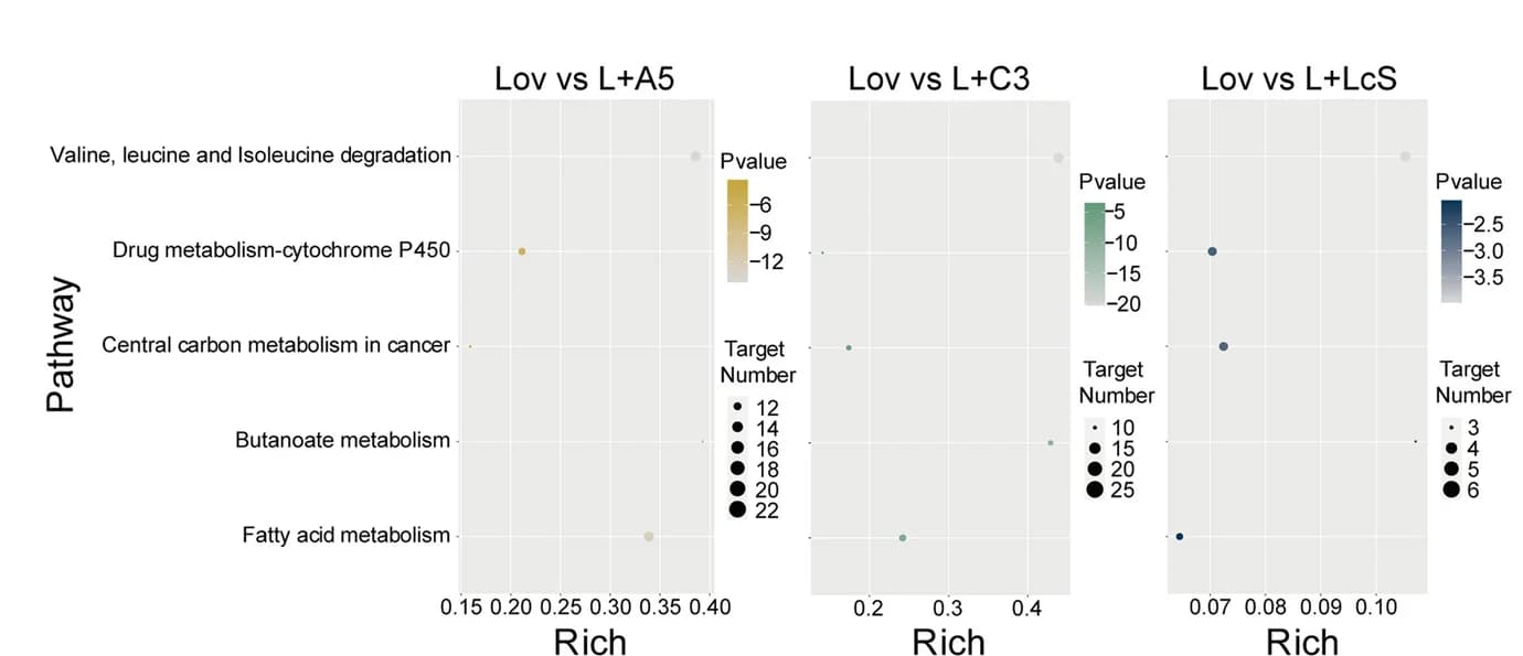 Open access visualization of Scatter Plot, Bubble Plot, Metabolic Pathways, Probiotics Groups, Valine