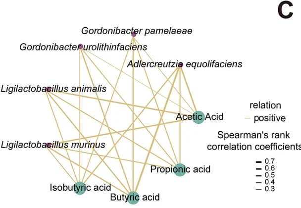 Open access visualization of Network, Intestinal Bacteria, Probiotics, Acetic Acid, Propionic Acid