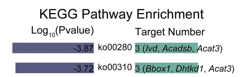 Open access visualization of Bar Plot, Differential Genes, SCFAs, Metabolic Pathways, Correlation