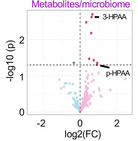 Open access visualization of Volcano Plot, Metabolites, Volcano plots, Microbiome, y FMT o