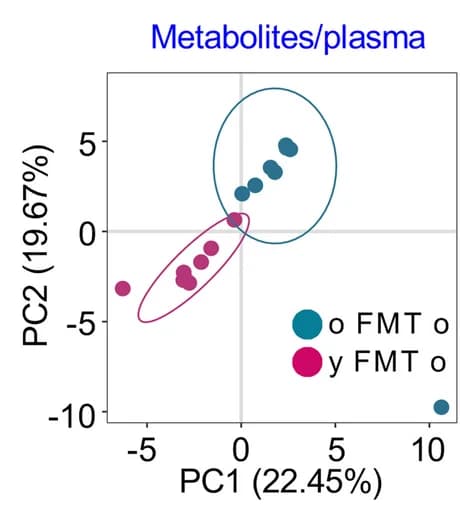 Open access visualization of Scatter Plot, PCA, Partial Least Squares Discriminant Analysis, Metabolites, Plasma