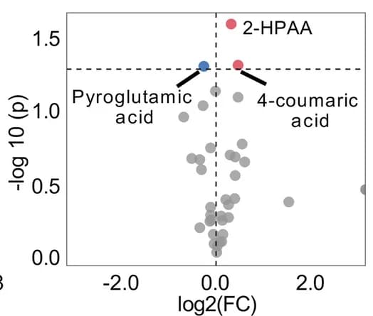 Open access visualization of Volcano Plot, Volcano plots, Metabolites, Plasma