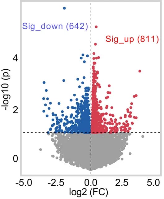 Open access visualization of Volcano Plot, Scatter Plot, RNA Sequencing, Differentially Expressed Genes, Testis Tissue