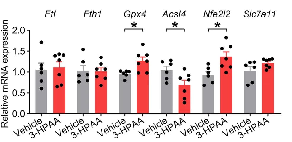 Open access visualization of Bar Plot, Error Bars, Scatter Plot, qRT-PCR, mRNA Expression