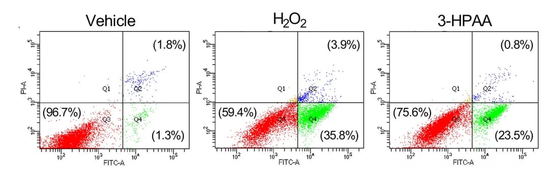 Open access visualization of Scatter Plot, Scatter Plots, Annexin V-FITC/PI Assay, GC-2 Cells, Vehicle