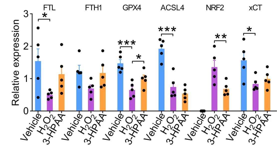 Open access visualization of Bar Plot, Error Bars, Scatter Plot, Protein Expression, FTL