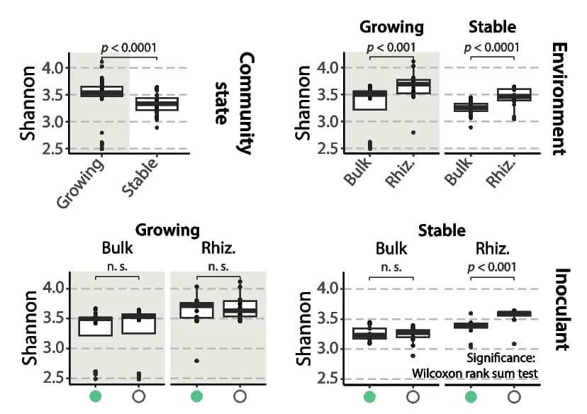 Open access visualization of Box Plot, Scatter Plot, Shannon Diversity, Community States, Environments