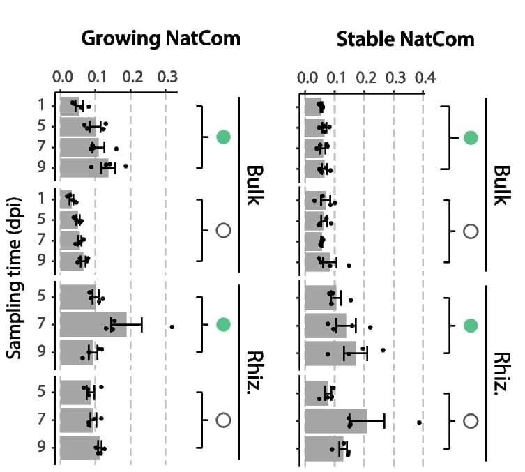 Open access visualization of Bar Plot, Error Bars, Scatter Plot, Spearman Correlation, Bray-Curtis Dissimilarities