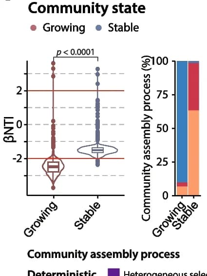 Open access visualization of Violin Plot, Box Plot, Stacked Bar Plot, Scatter Plot, Bacterial Communities