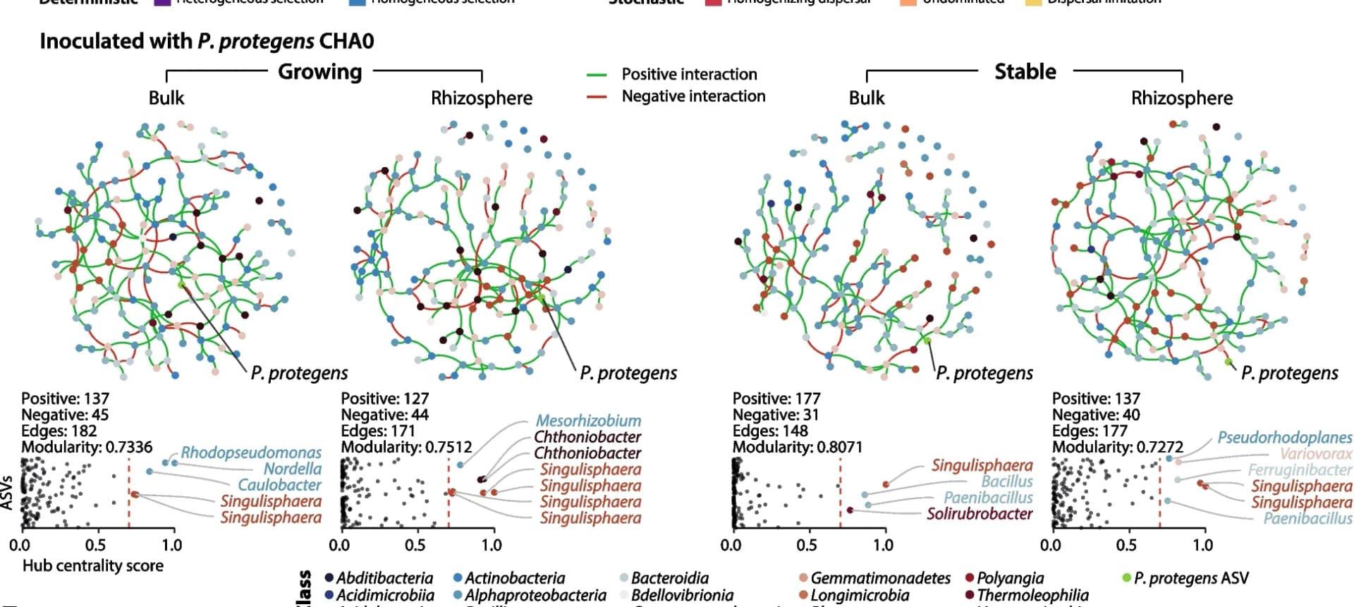 Open access visualization of Network, Scatter Plot, Ecological Association, Sparse Inverse Covariance Estimation, Amplicon Sequence Variants