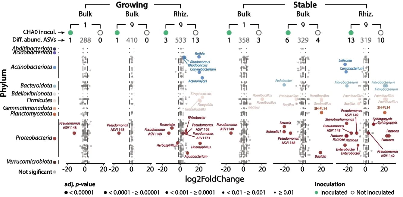 Open access visualization of Scatter Plot, Forest Plot, Differential abundance analysis, Community states, Bulk soil