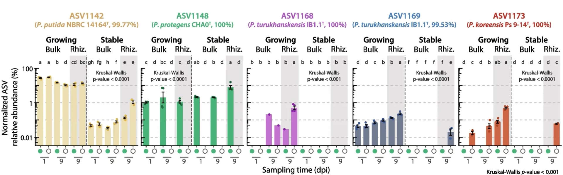Open access visualization of Bar Plot, Error Bars, CSS-normalized relative abundances, Pseudomonas ASVs, Community states