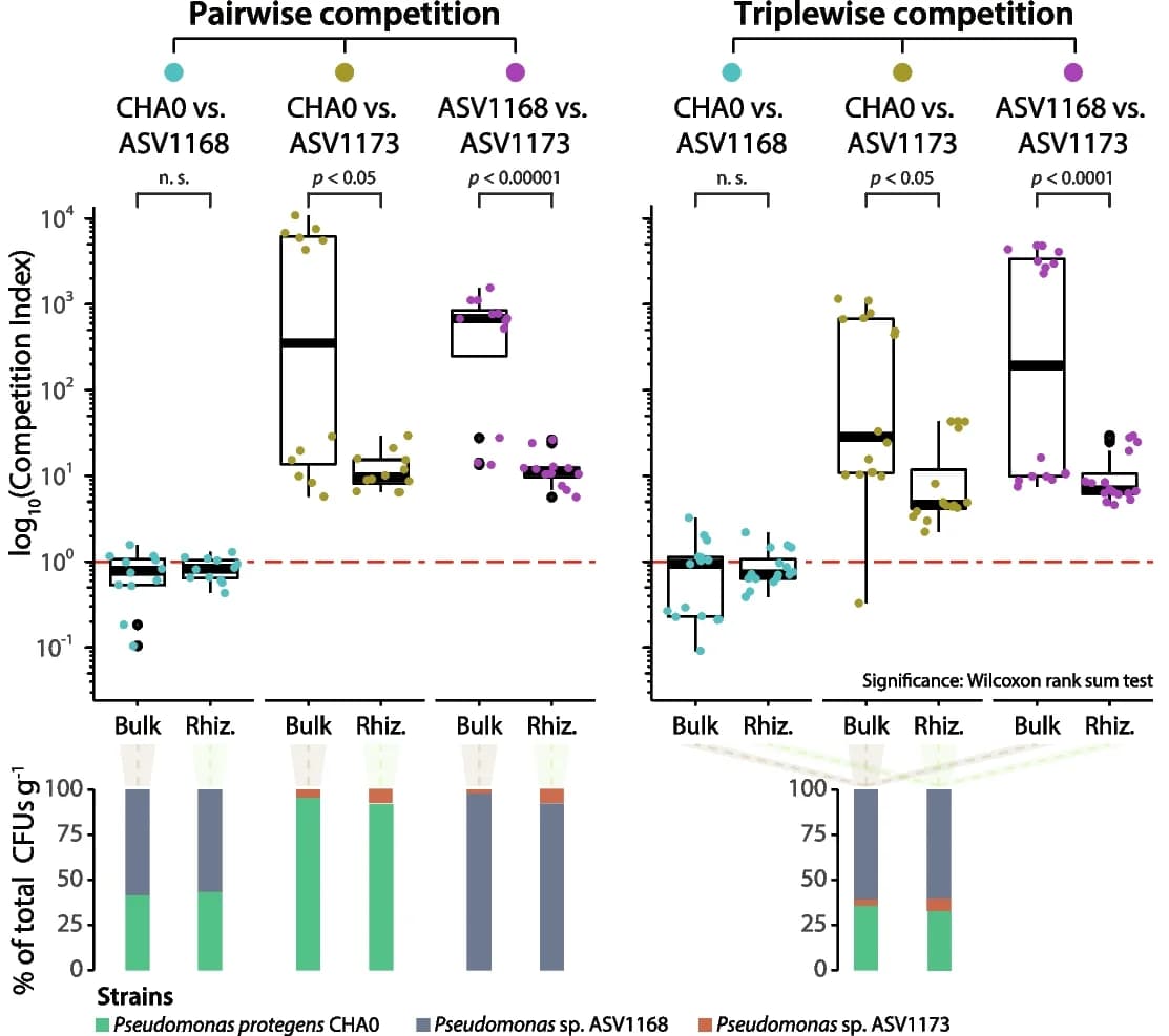 Open access visualization of Box Plot, Bar Plot, Stacked Bar Plot, Scatter Plot, Pseudomonas protegens CHA0