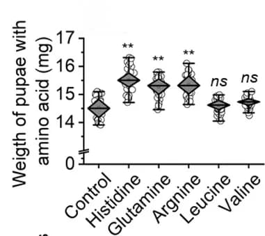 Open access visualization of Violin Plot, Amino Acids, Pupal Weight
