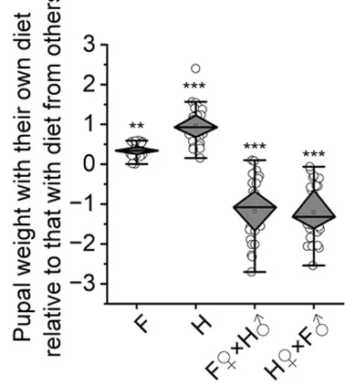 Open access visualization of Violin Plot, Box Plot, Raincloud Plot, Scatter Plot, Pupal Weight