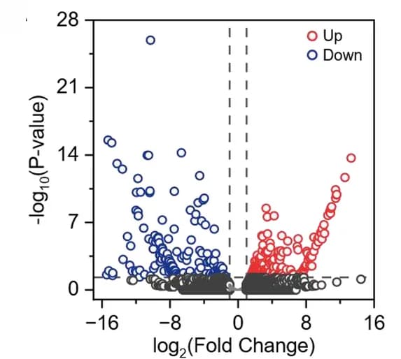 Open access visualization of Volcano Plot, Scatter Plot, Volcano Map, Gene Expression, Upregulated Genes