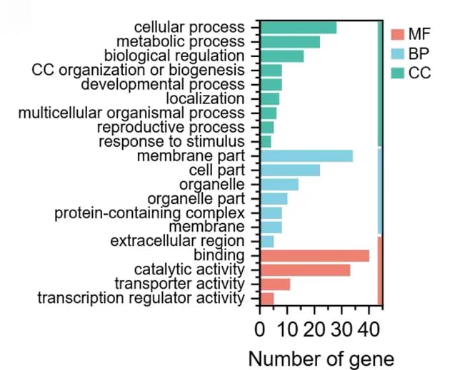 Open access visualization of Bar Plot, Stacked Bar Plot, GO Functions, Molecular Function, Biological Processes