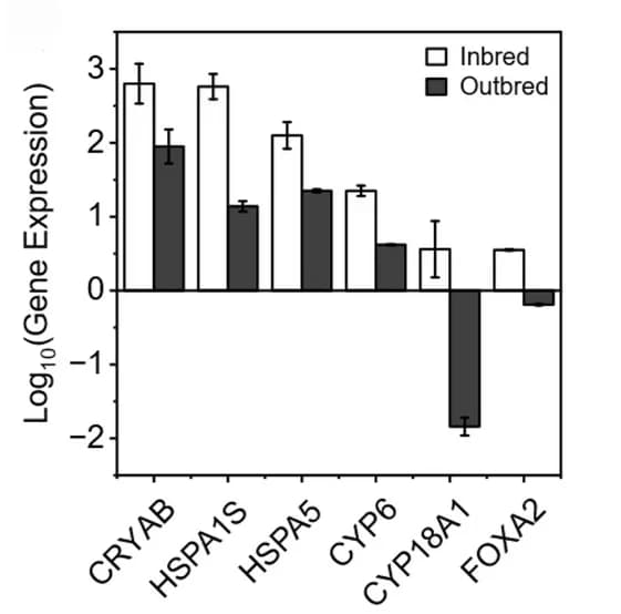 Open access visualization of Bar Plot, Error Bars, Clustered, Gene Expression, Downregulated Genes