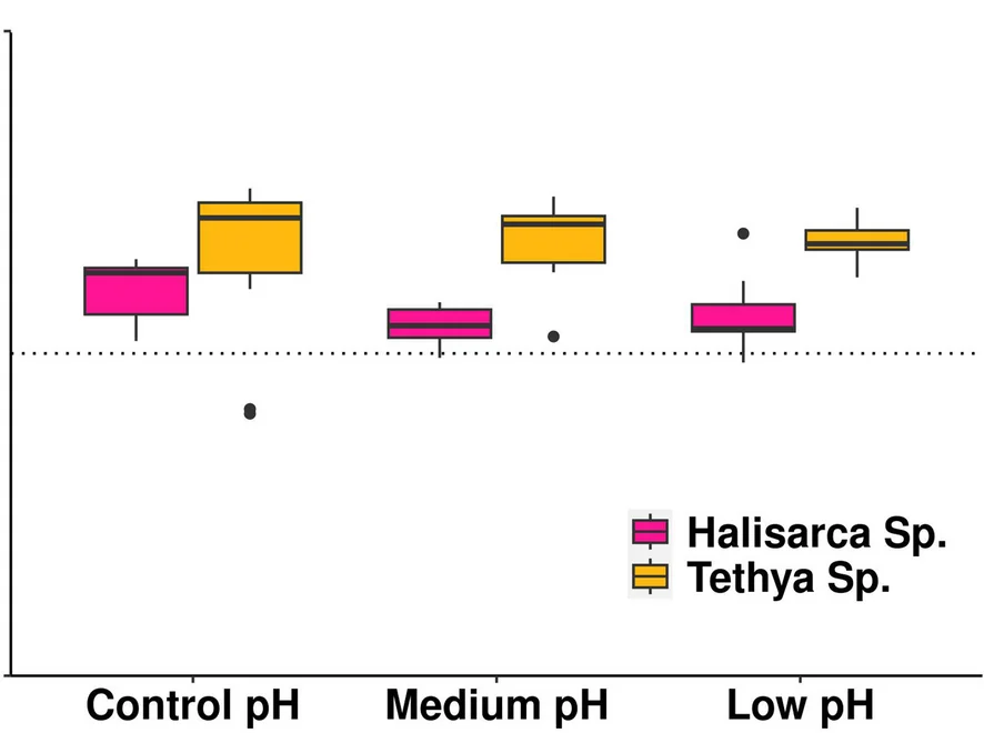Open access visualization of Box Plot, Sponge Microbiomes, Sediment Microbiome, Metabolome, Metabolites