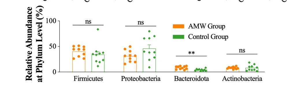 Open access visualization of Bar Plot, Error Bars, Scatter Plot, Relative Abundance, Phyla