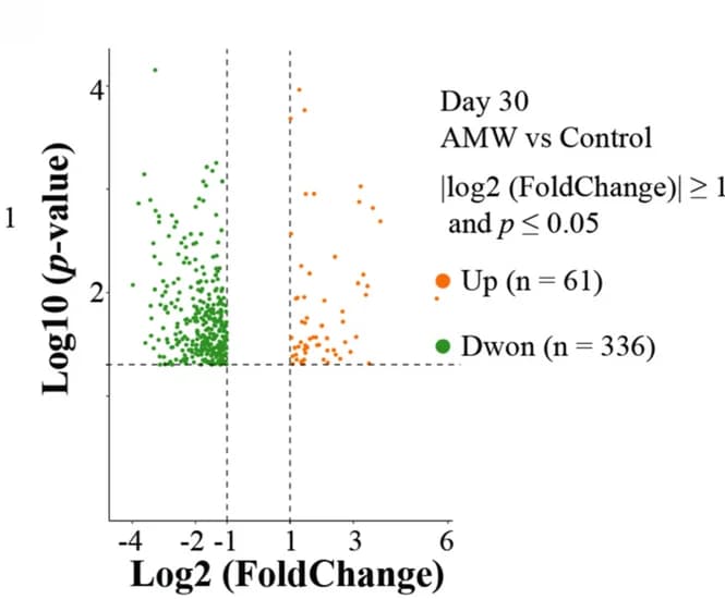 Open access visualization of Volcano Plot, Volcano Plots, Up-regulated Genes, Down-regulated Genes, AMW Group