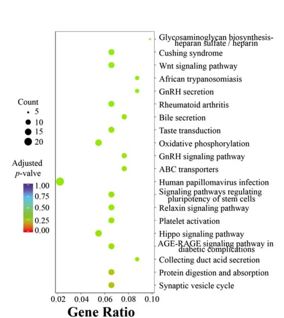 Open access visualization of Scatter Plot, Bubble Plot, Volcano Plot, Bubble Plots, KEGG Pathways