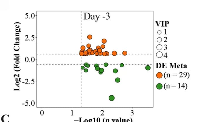 Open access visualization of Scatter Plot, Bubble Plot, Volcano Plot, Volcano Plots, Metabolites