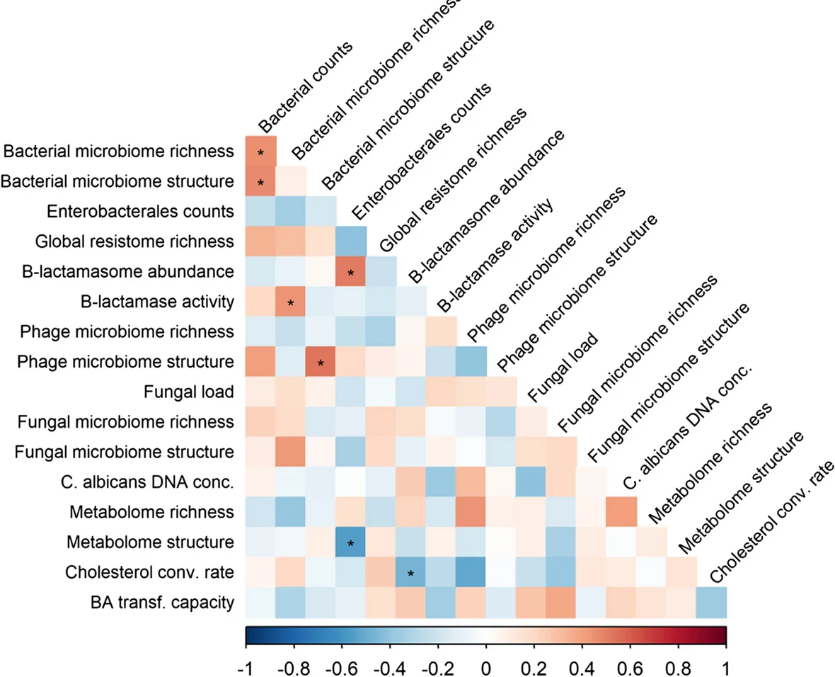 Open access visualization of Heatmap, Gut Microbiota, Stool Components, Healthy Volunteers, Spearman Correlation