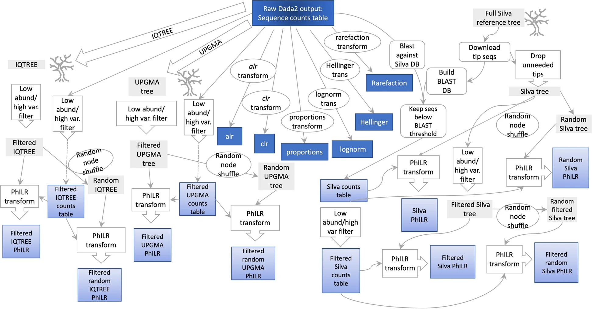 Open access visualization of Workflow, Flowchart, Data Transformation, Dada2, Counts Tables