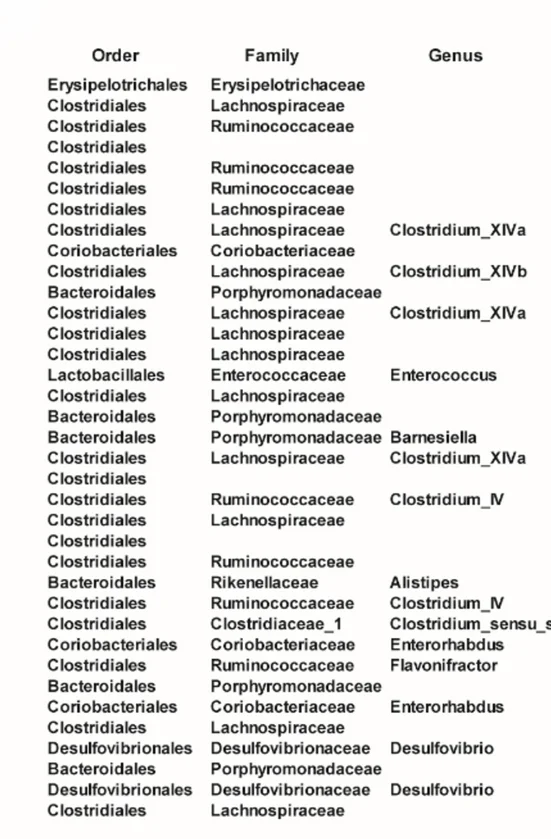 Open access visualization of Table Image, Mouse Colonic Microbiota, L. Reuteri Supplementation, Bacterial Taxa, Random Forest Analysis